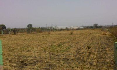 2 Acre Open Land at Prime Location Ayodhya Bypass Road, Bhopal